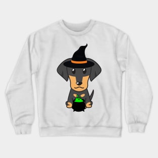 Cute dachshund dog is a witch Crewneck Sweatshirt